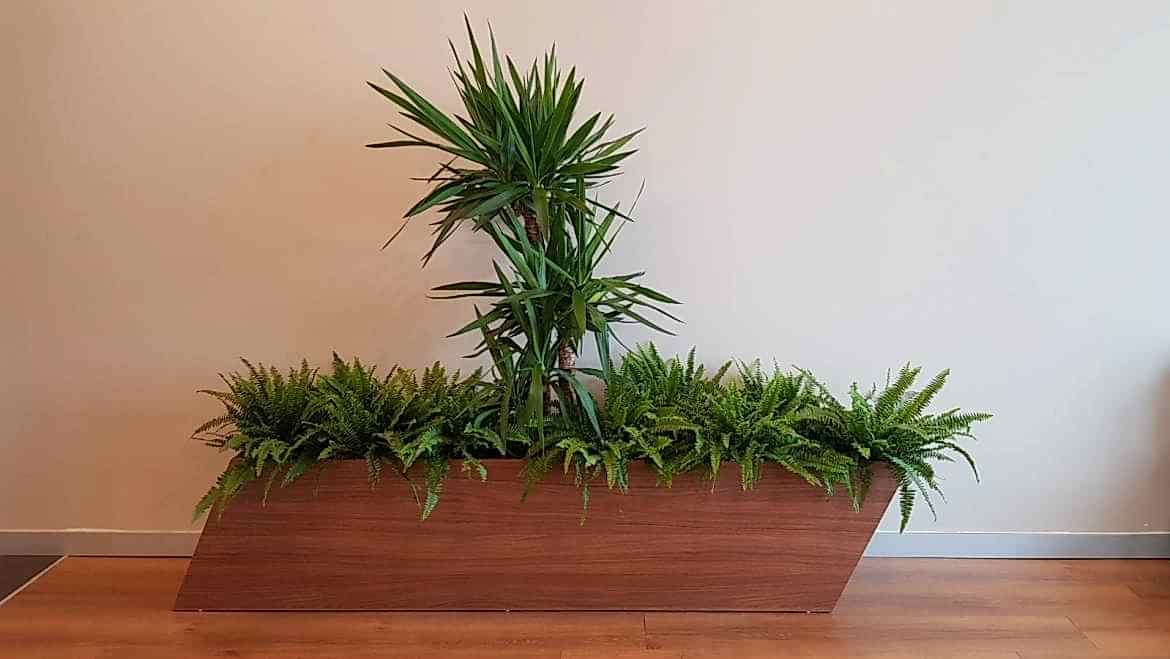 İç Mekan Bakımları